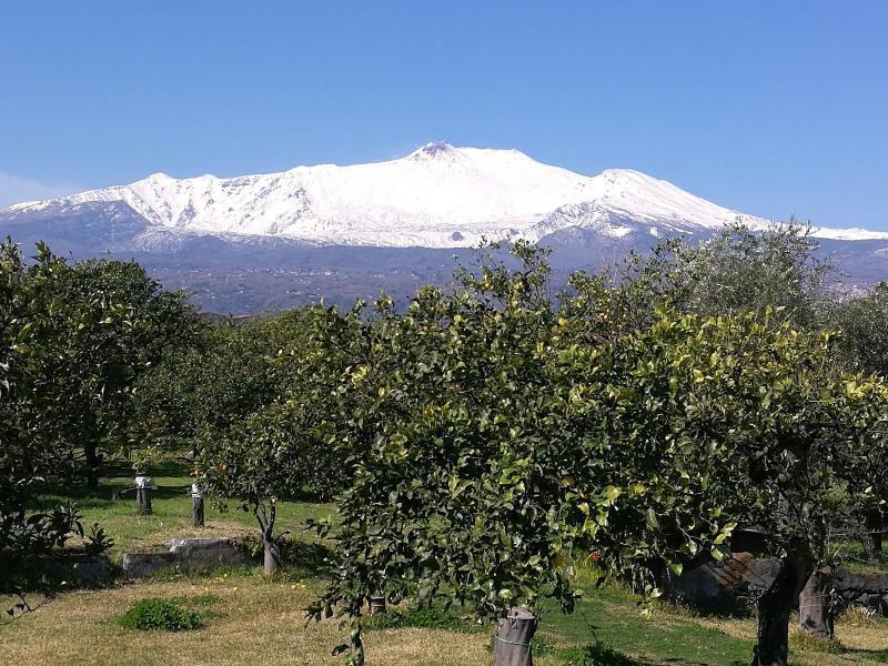 Agriturismo Galea Riposto Exterior photo